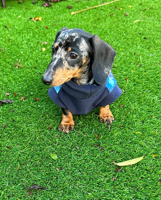 Waterproof Softshell Dachshund Fleece Jumper: Galaxy Print, Warm Tummy Protection