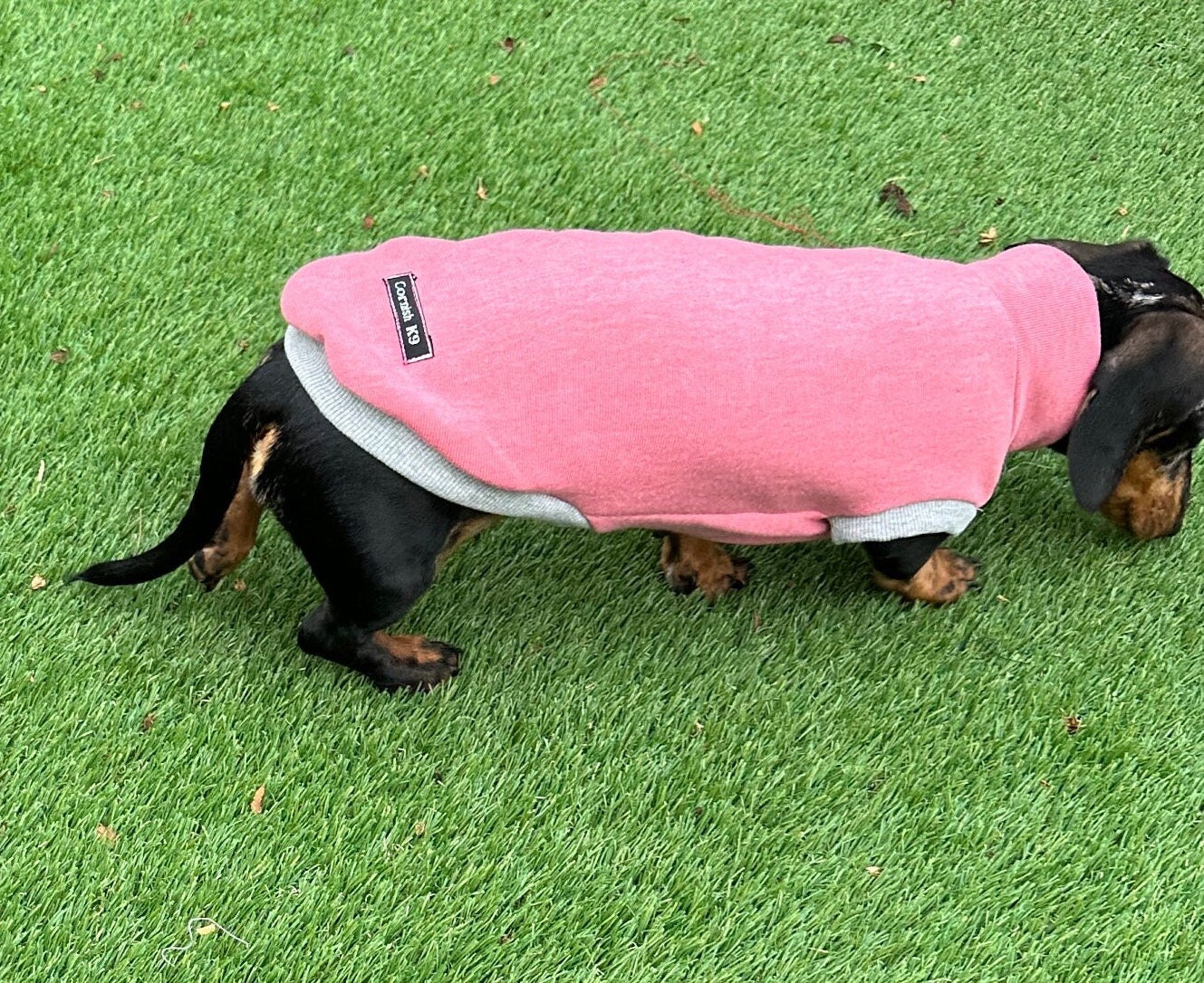 Dachshund Fleece Sweatshirt: Soft Washable Dog Jumper