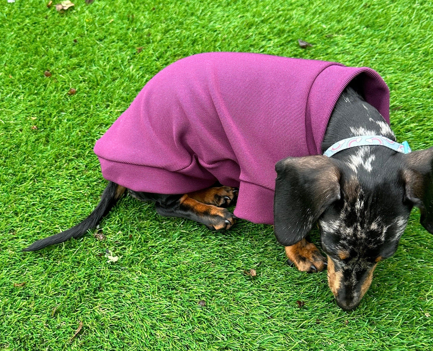 Ribbed Dachshund Jumper: Spandex Ottoman Knit, Washable Dog Sweater