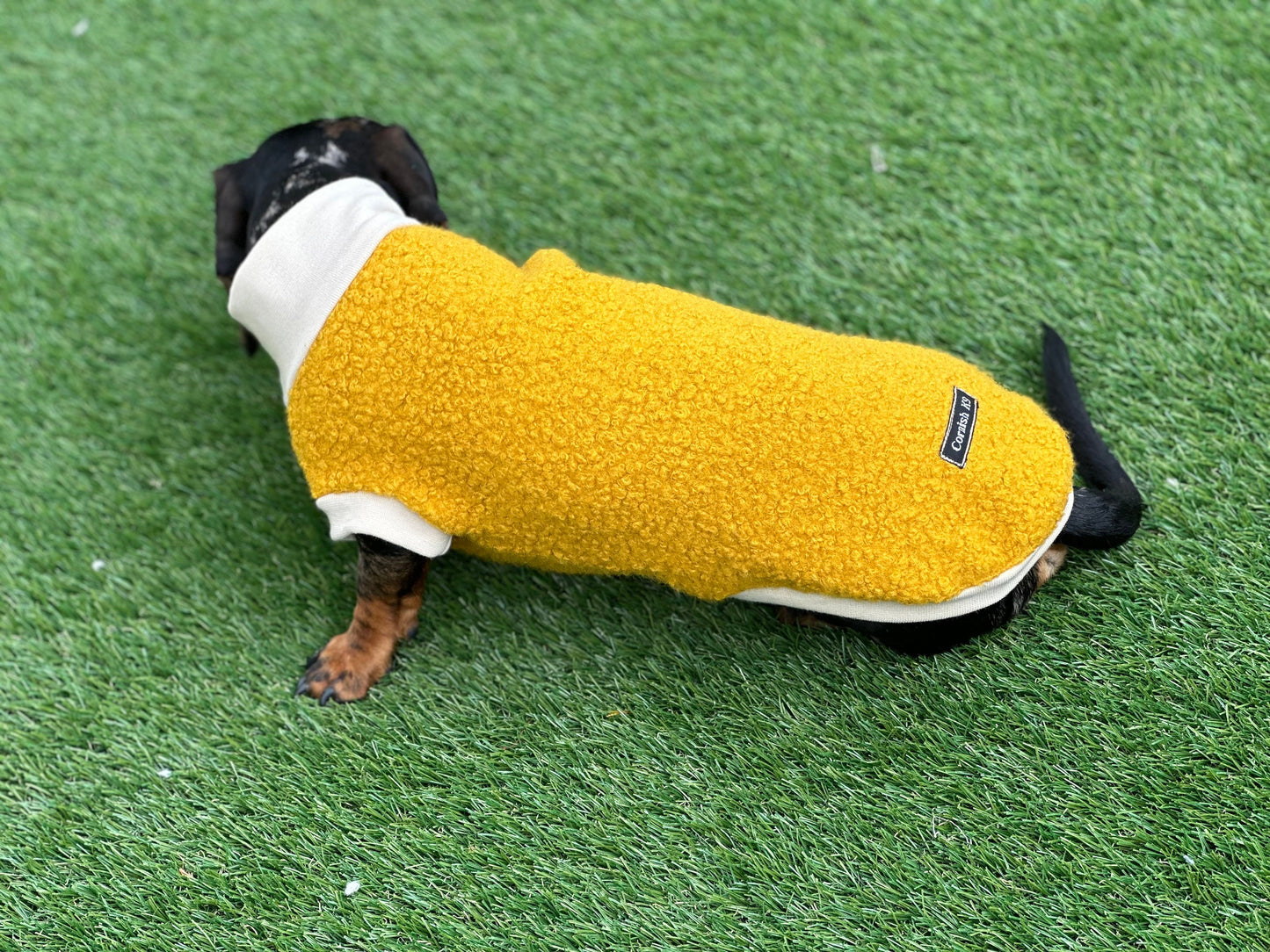 Boucle Dachshund Fleece Jumper: Cozy Thermal Small Dog Coat