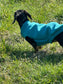 Dachshund Neoprene Dog Jumper: Stretchy, Insulated, Open-Neck