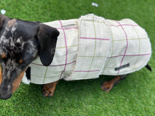 Water resistant dog coat, waterproof dog coat, shower proof dog coat ,pet lover, pet accessories,dachshund dog coat
