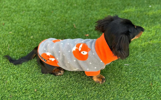 Dachshund Fleece Jumper: Water Repellent Dog Coat, Embroidered Name
