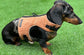 Corduroy Dachshund Harness: Fleece Lined, Adjustable Dog Vest