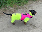 Dachshund made to measure Neoprene Dog Harness: No-Rub Comfort Vest
