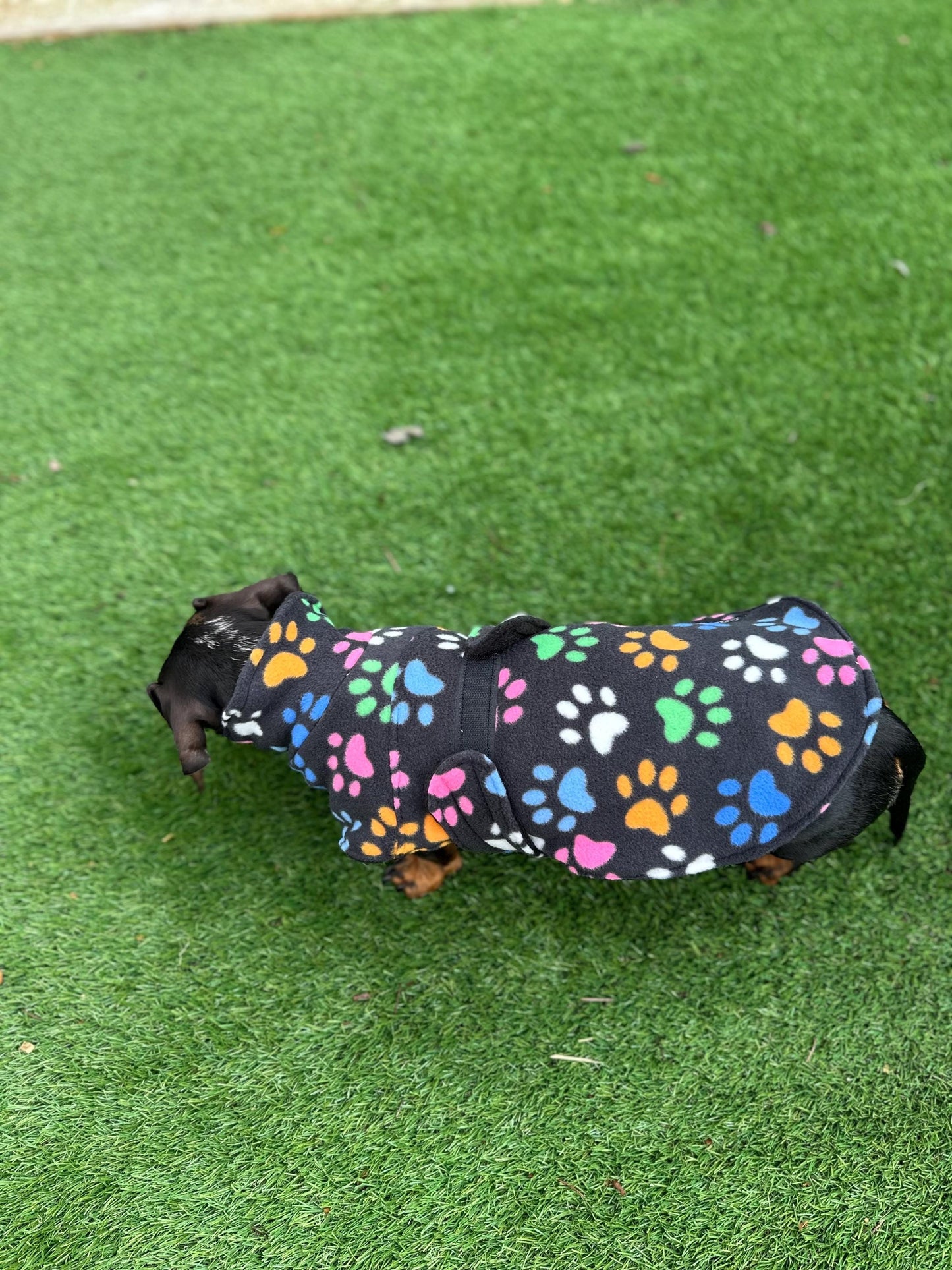 Fleece Dachshund Coat: Water Repellent Dog Jumper, Custom Fit