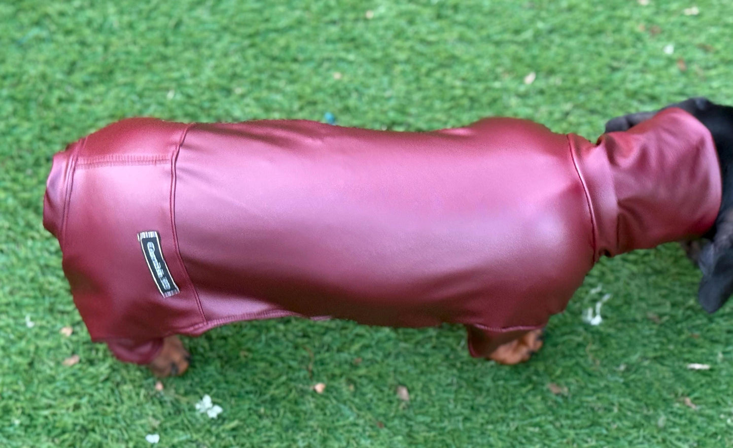 Waterproof Dachshund Onesie: Eco-Friendly Stretchy Dog Jumpsuit