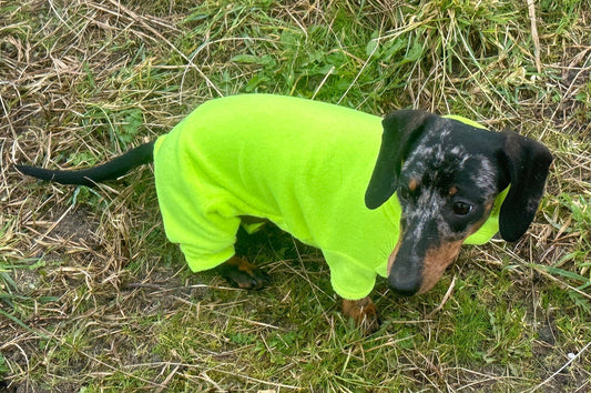 Hi-Vis Dachshund Fleece Onesie: Water & Mud Repellent Dog Jumpsuit