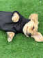 Dachshund Softshell zipped waterproof  jacket ,water repellent  jumper ,step in dog coat,  ,washable dog jacket, Mud Repellent