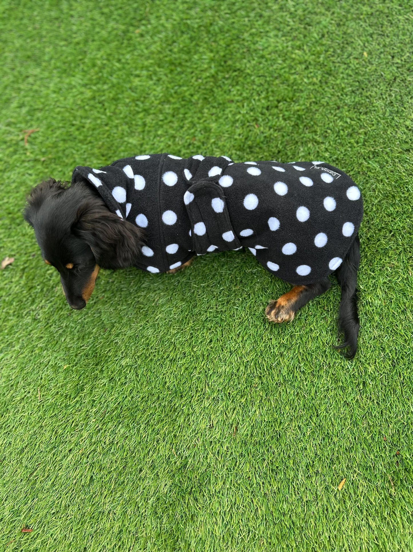 Fleece Dachshund Coat: Water Repellent Dog Jumper, Chest Cover