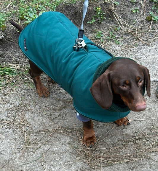 Waterproof Softshell Dachshund Dog Coat: Fleece Lined, Windproof