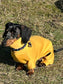 Mini Dachshund Neoprene Onesie: Stretchy Dog Jumpsuit