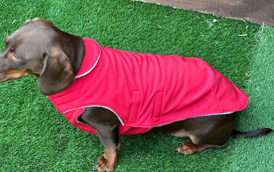 Waterproof Softshell Dachshund Coat: Fleece Lined, Windproof