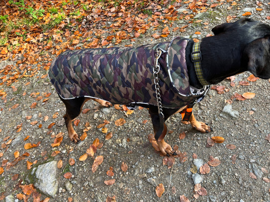 Waterproof Quilted Dog Coat: Fleece Lined Winter Jacket