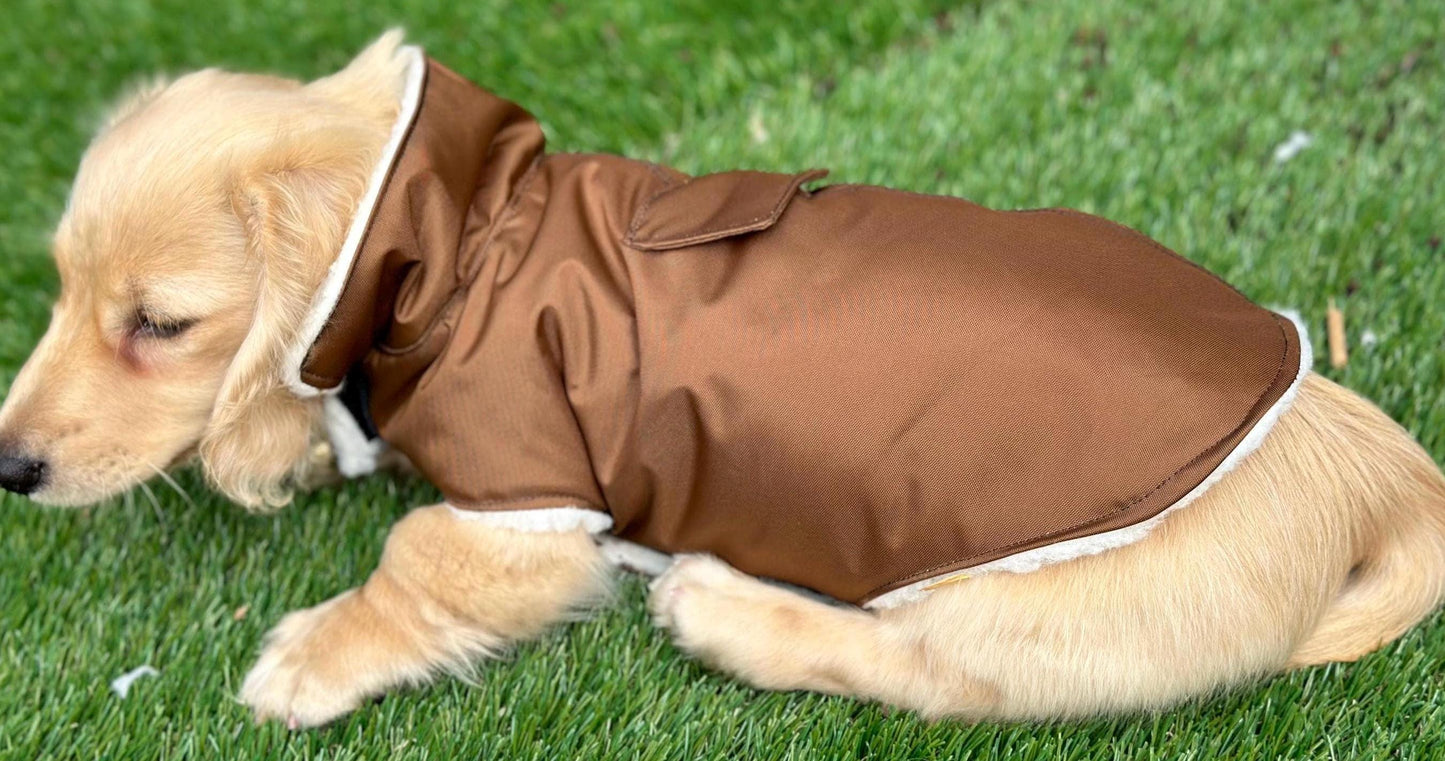 Waterproof Dachshund Coat: Sherpa Fleece Lined, Hideaway Harness Hole