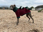 Italian greyhound dino legged Fleece jumper ,fleece jumper ,breathable dog jumper, dog jacket,,Water & Mud Repellent dog suit