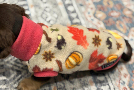 Personalized Dachshund Fleece Jumper: Water & Mud Repellent Dog Coat
