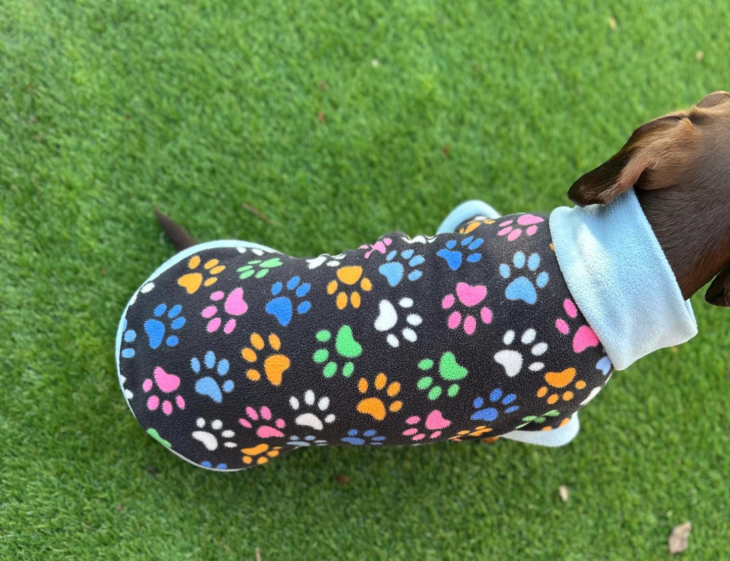 Dachshund Fleece Jumper: Water Repellent Dog Coat, Embroidered Name