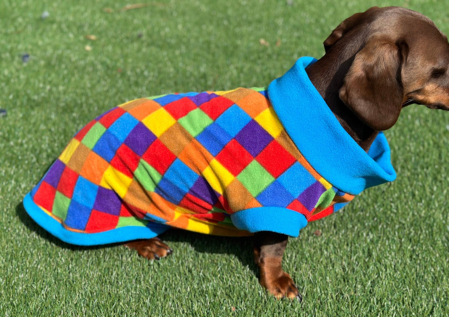 Dachshund Fleece Dog Jumper: Water & Mud Repellent, Breathable, Multi-Color