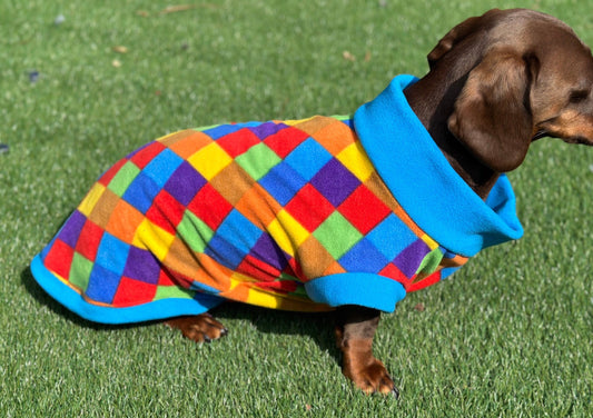 Dachshund Fleece Dog Jumper: Water & Mud Repellent, Breathable, Multi-Color