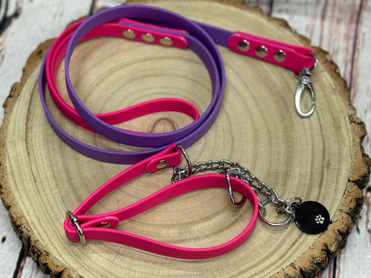 Waterproof Biothane Dog Collar & Lead Set: Silver Hardware, Small (11-13 inch neck)