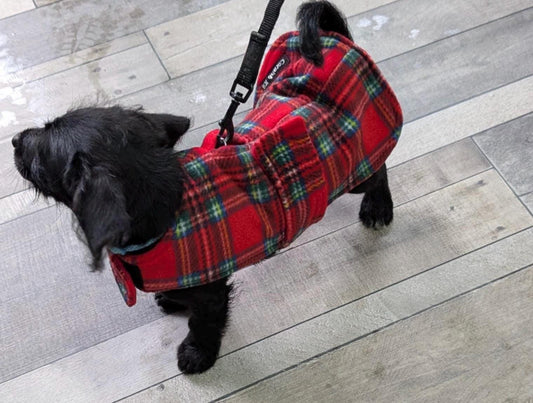 Tartan Fleece Dachshund Dog Coat: Water Repellent, Harness Hole