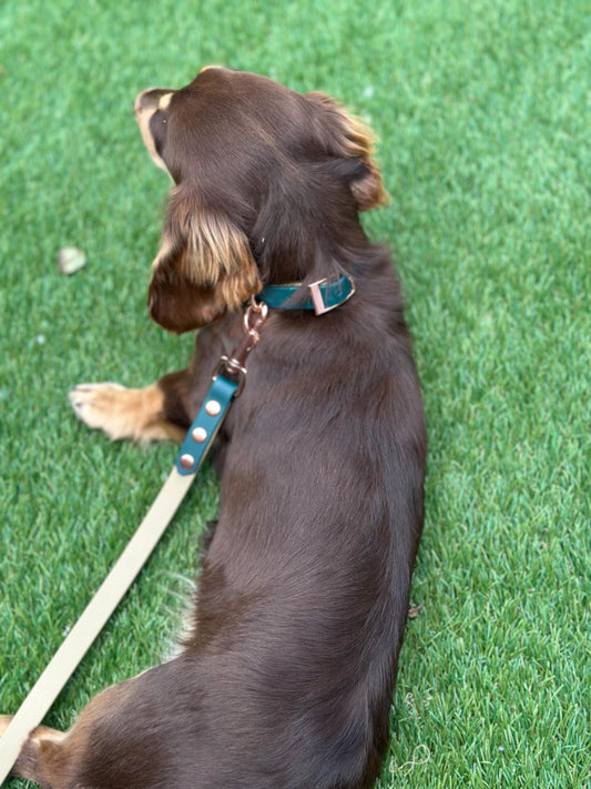Waterproof Biothane Dog Collar & Lead Set: Rose Gold Hardware