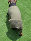 Boucle Fleece Dachshund Onesie: Cozy Small Dog Jumper