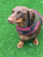 Made-to-Order Dachshund Harness: Army Green Spacer Mesh, No Armpit Rub