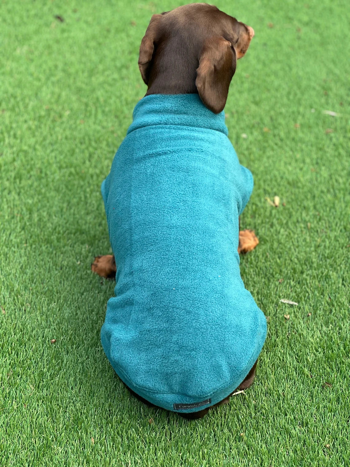 Water Repellent Dachshund Fleece Jumper: Open Neck Dog Coat