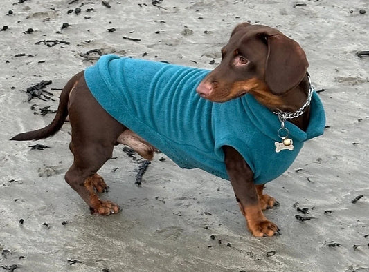Water Repellent Dachshund Fleece Jumper: Open Neck Dog Coat