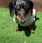 Water Repellent Dachshund Fleece Jumper: Embroidered Dog Coat