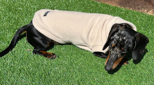 Water Repellent Dachshund Fleece Jumper: Embroidered Dog Coat