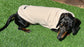 Water Repellent Dachshund Fleece Jumper: Embroidered Dog Coat