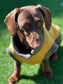 Water Repellent Dachshund Fleece Jumper: Open Neck Dog Tankie
