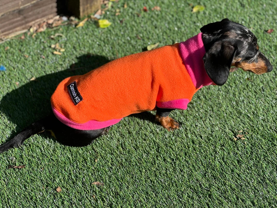 Water Repellent Dachshund Fleece Jumper: Open Neck Dog Tankie