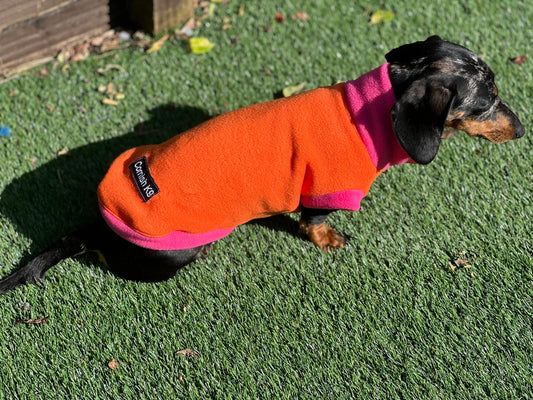 Water Repellent Dachshund Fleece Jumper: Open Neck Dog Tankie