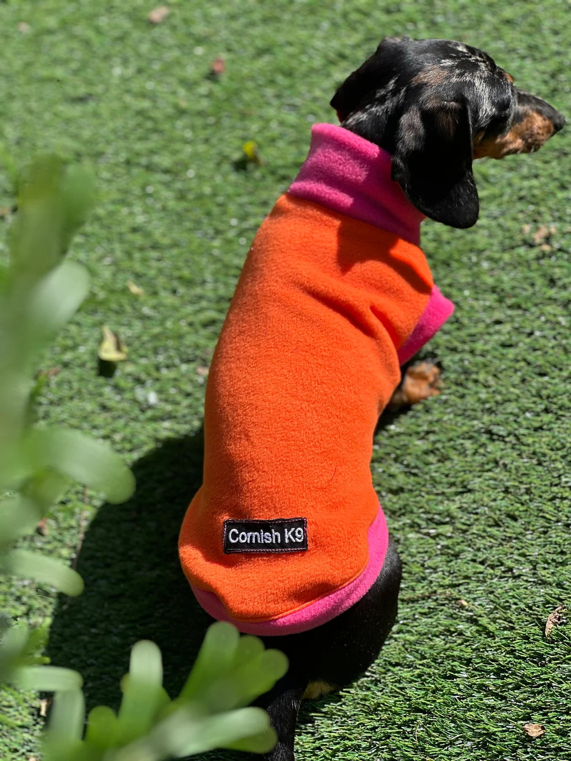 Water Repellent Dachshund Fleece Jumper: Open Neck Dog Tankie