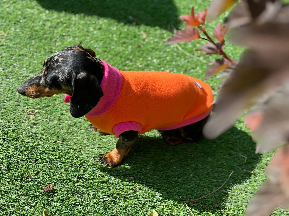 Water Repellent Dachshund Fleece Jumper: Open Neck Dog Tankie