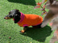 Water Repellent Dachshund Fleece Jumper: Open Neck Dog Tankie