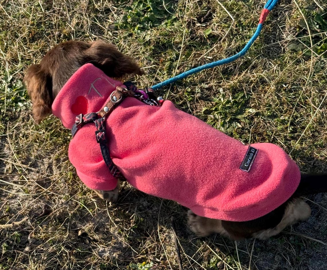 Embroidered Dachshund Fleece Jumper: Water & Mud Repellent, Personalized Dog Coat