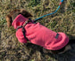 Embroidered Dachshund Fleece Jumper: Water & Mud Repellent, Personalized Dog Coat