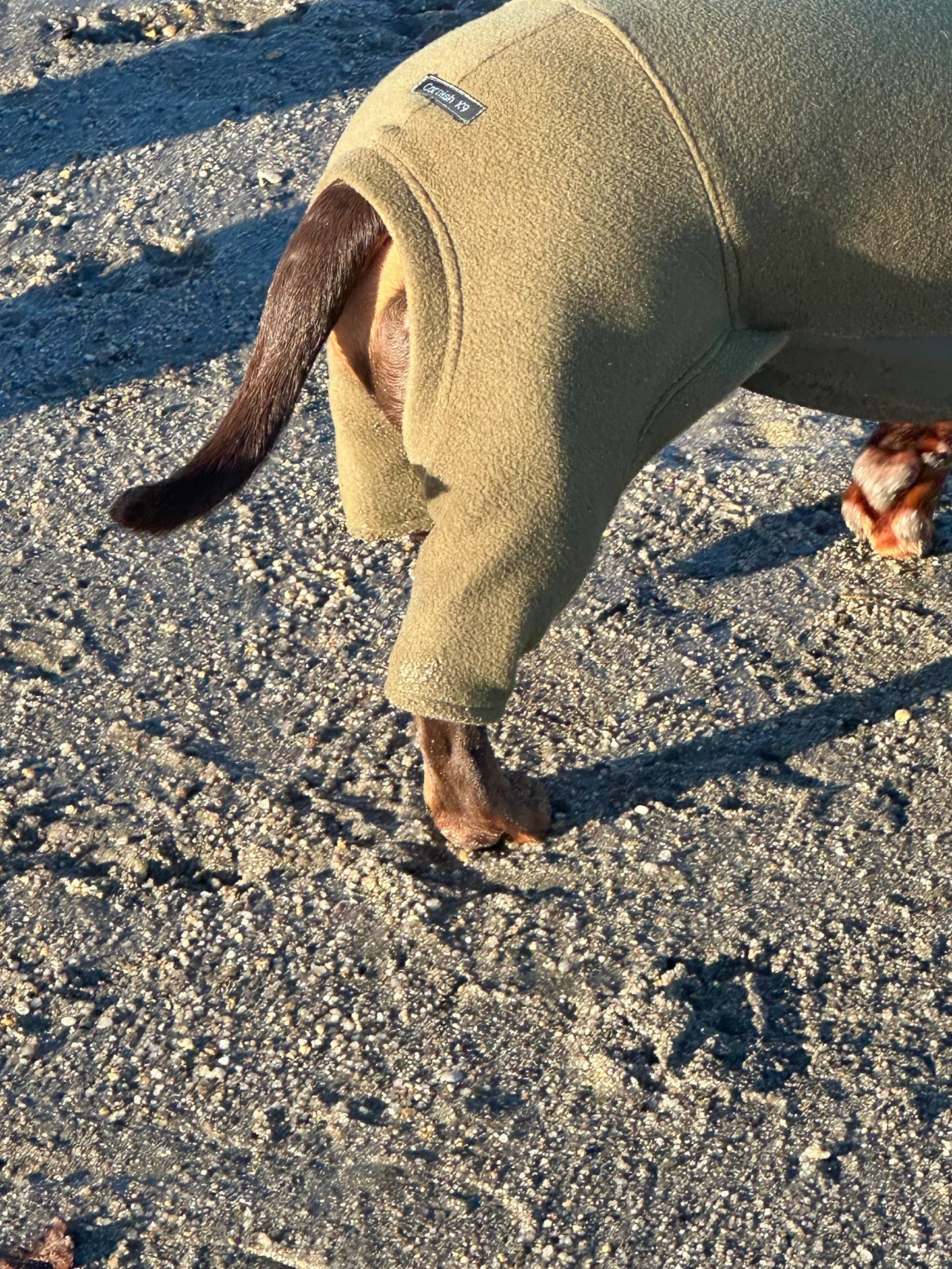 Dachshund Waterproof Tummy Onesie | Fleece Dog Jumpsuit