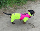 Neoprene Dachshund Harness | Made-to-Measure Padded No-Rub Dog Harness