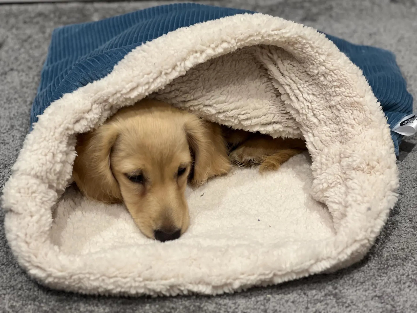 Corduroy Dog Snuggle Sack | Fleece Lined Burrow Bed for Dachshunds & Dogs