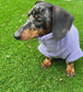 Dachshund Zip Neck Fleece Jumper | Warm Water Repellent Dog Jumper