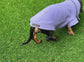 Dachshund Zip Neck Fleece Jumper | Warm Water Repellent Dog Jumper