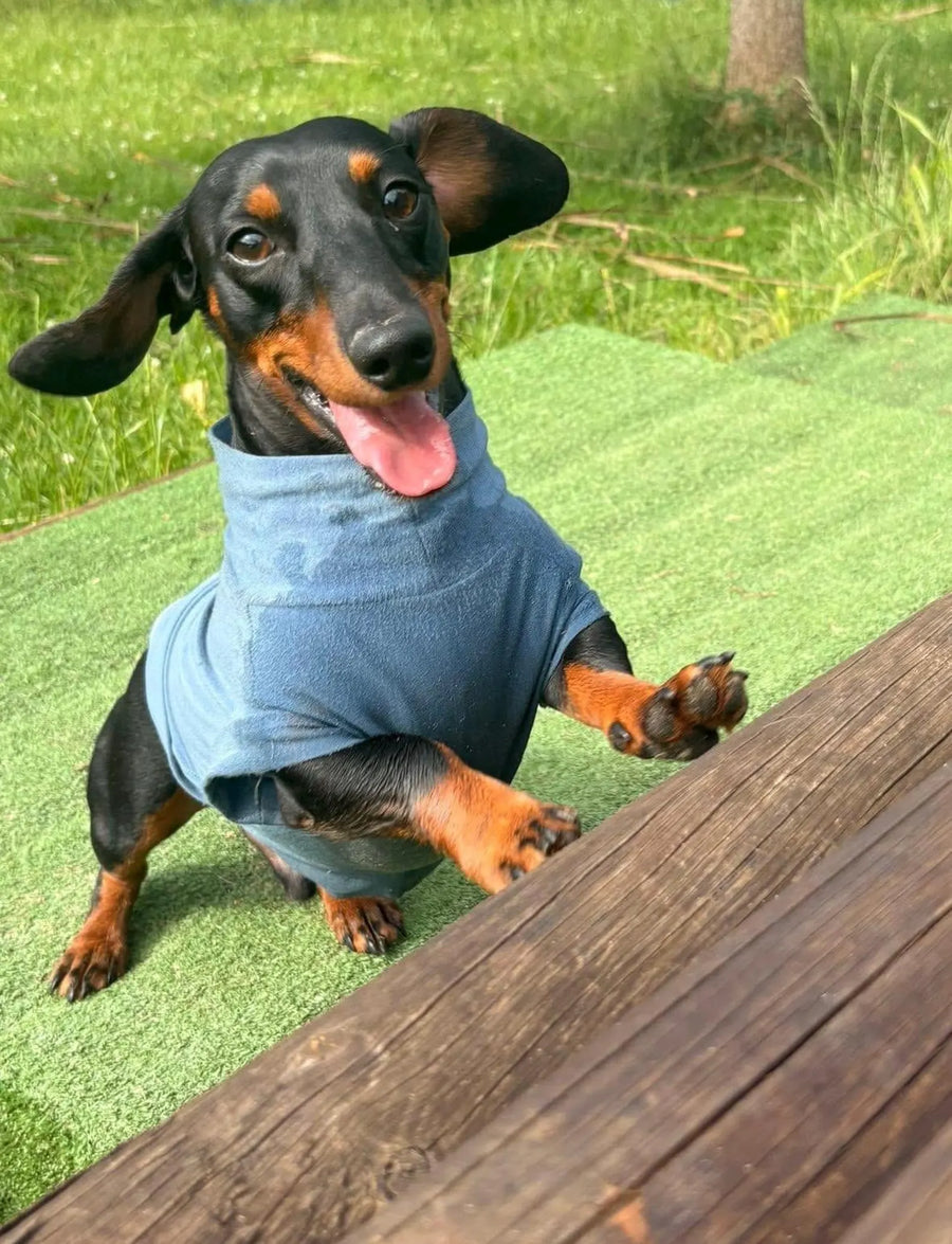 Bamboo Dachshund T-Shirt | Lightweight Breathable Dog Top