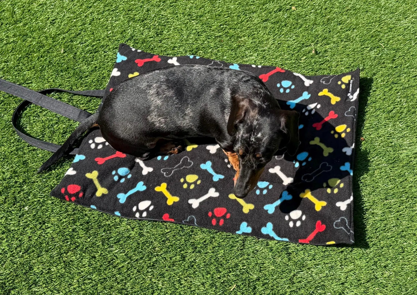 Fleece Dog Travel Mat | Waterproof Roll-Up Dog Settle Mat & Picnic Pad