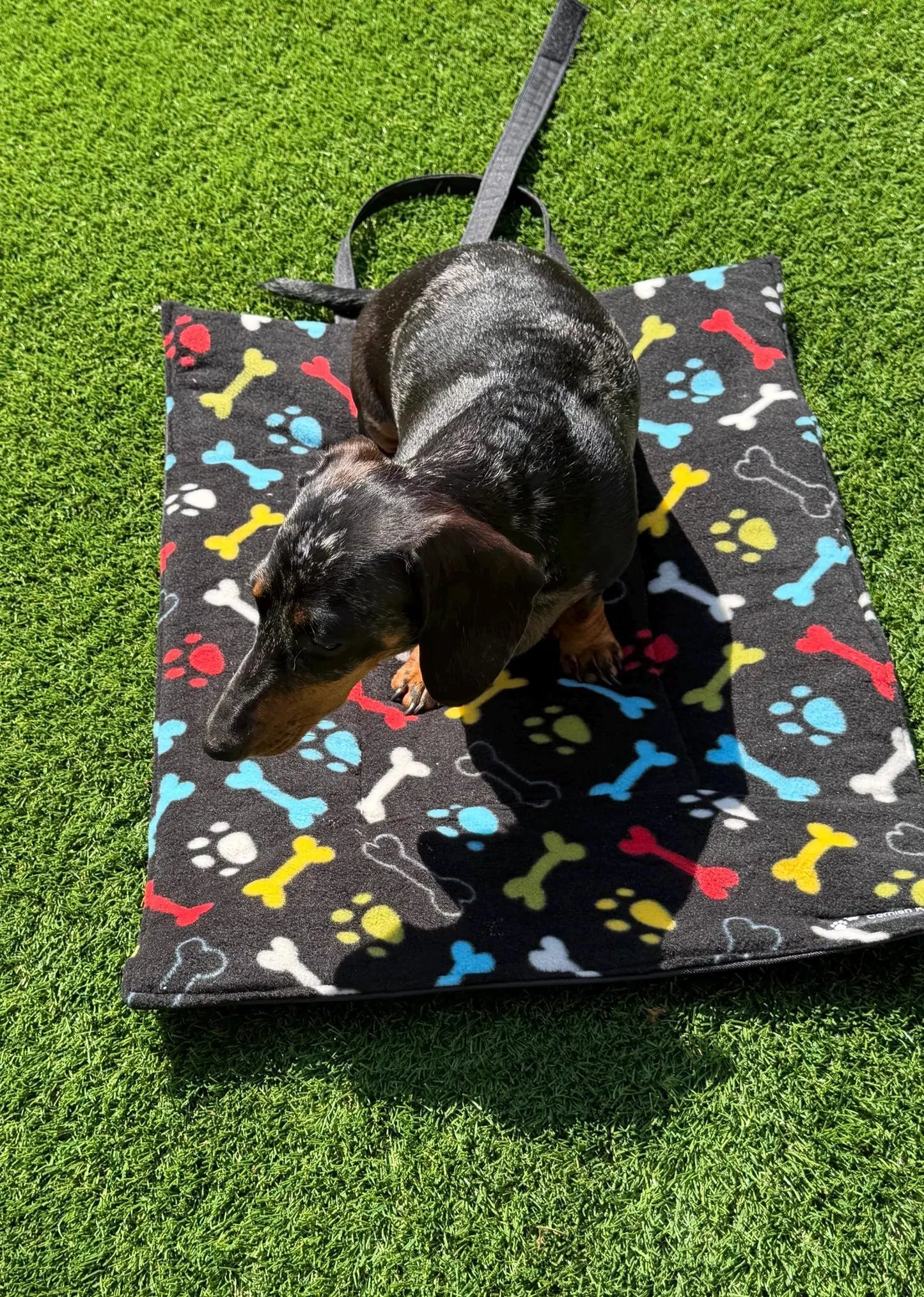 Fleece Dog Travel Mat | Waterproof Roll-Up Dog Settle Mat & Picnic Pad